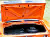 camtrunk.jpg (61088 bytes)