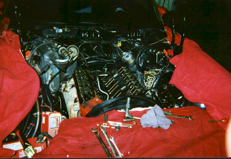 Empty Engine Bay